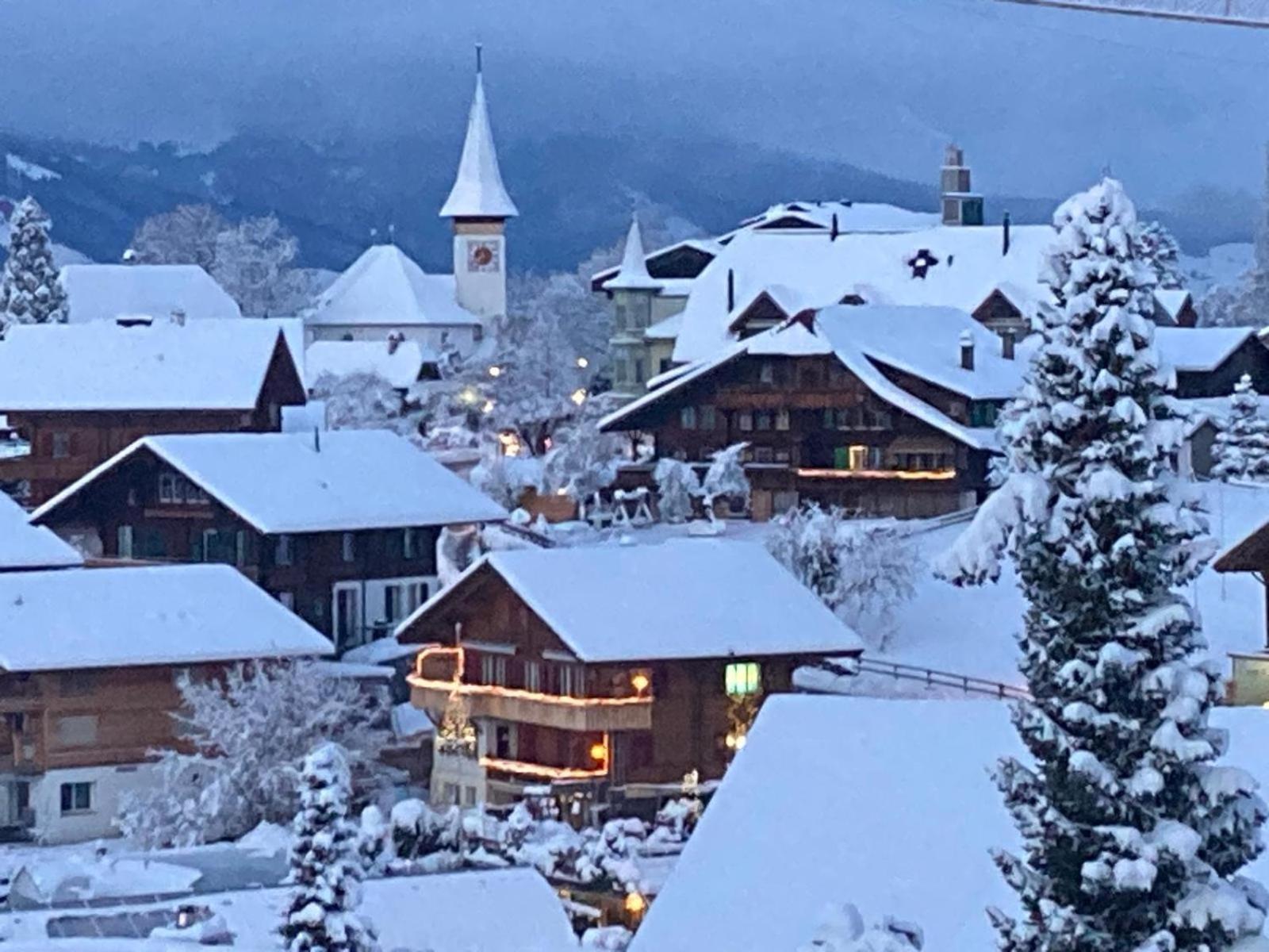 Chalet Egglen "Typical Swiss House, Best Views, Private Jacuzzi" سيغريسويل المظهر الخارجي الصورة