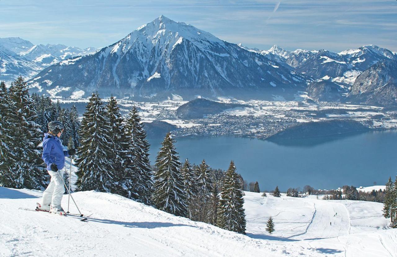 Chalet Egglen "Typical Swiss House, Best Views, Private Jacuzzi" سيغريسويل المظهر الخارجي الصورة