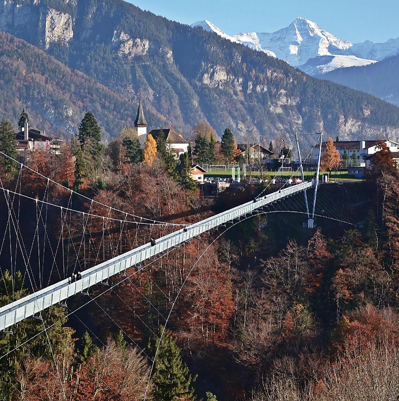 Chalet Egglen "Typical Swiss House, Best Views, Private Jacuzzi" سيغريسويل المظهر الخارجي الصورة