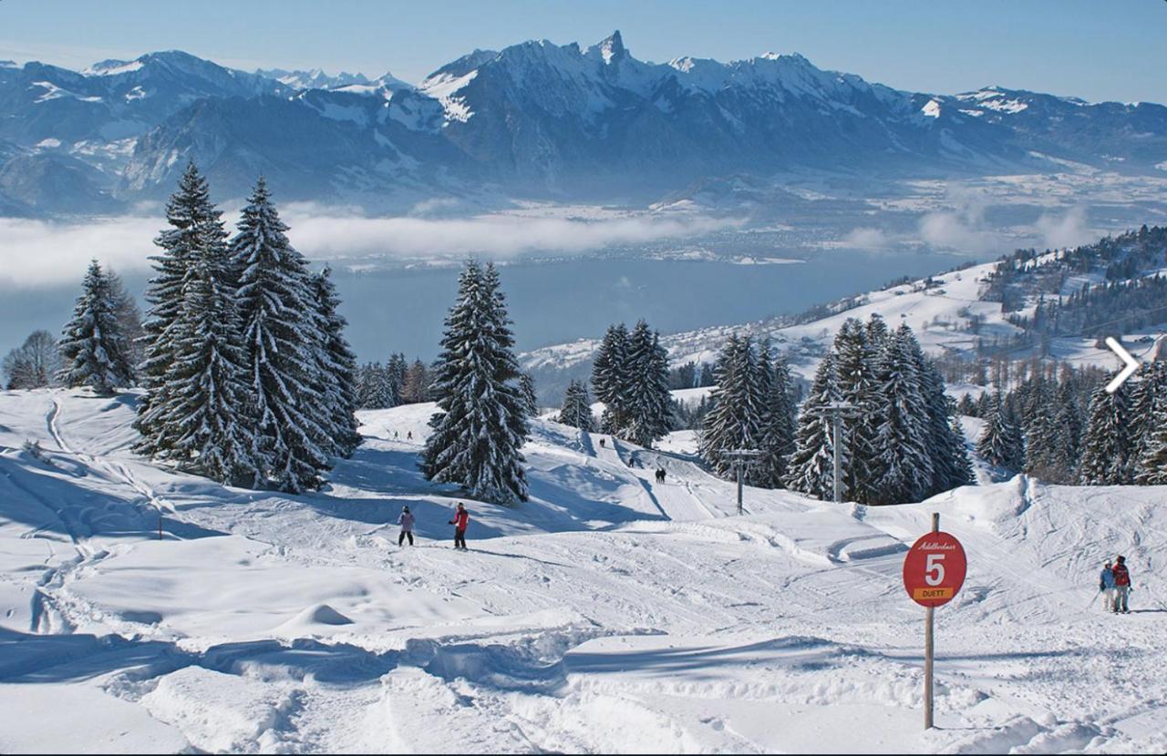 Chalet Egglen "Typical Swiss House, Best Views, Private Jacuzzi" سيغريسويل المظهر الخارجي الصورة
