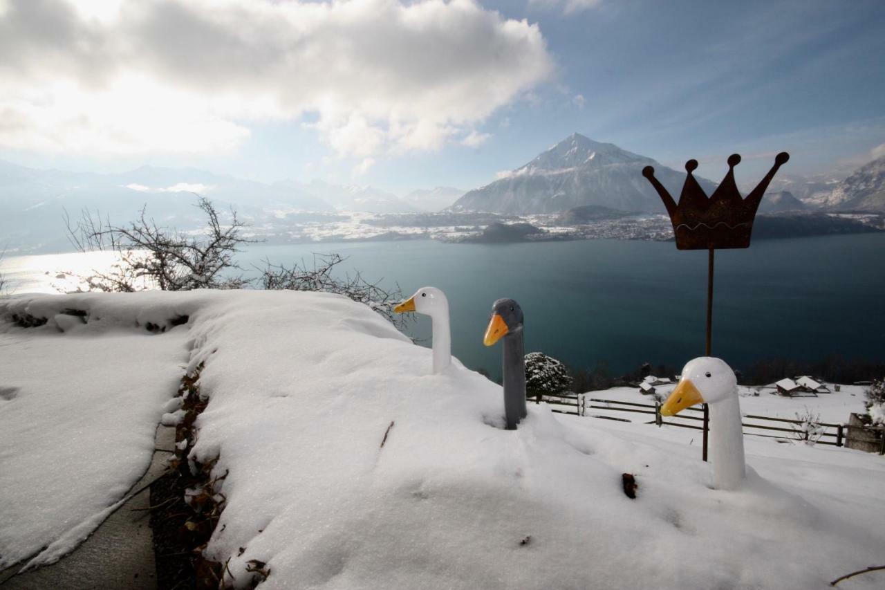 Chalet Egglen "Typical Swiss House, Best Views, Private Jacuzzi" سيغريسويل المظهر الخارجي الصورة