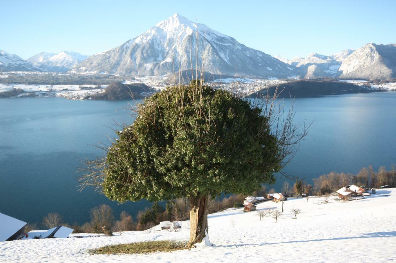 Chalet Egglen "Typical Swiss House, Best Views, Private Jacuzzi" سيغريسويل المظهر الخارجي الصورة
