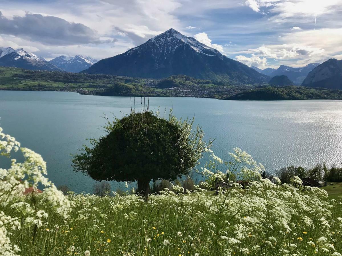 Chalet Egglen "Typical Swiss House, Best Views, Private Jacuzzi" سيغريسويل المظهر الخارجي الصورة